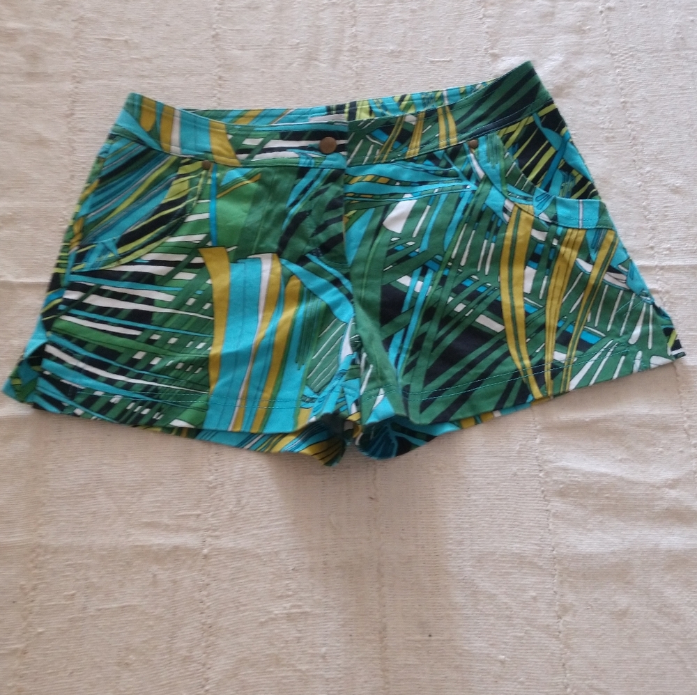 Cache Shorts - image 1
